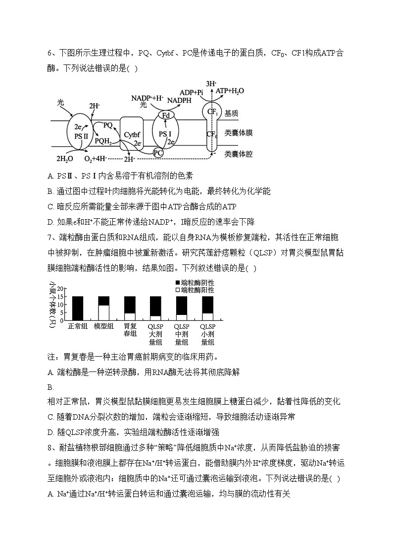 山东省枣庄市滕州市2024届高三上学期期中考试生物试卷(含答案)03