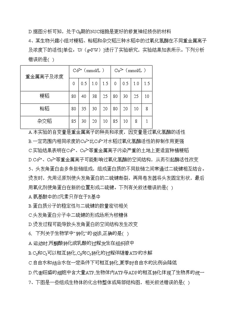 重庆市永川北山中学校2023届高三上学期半期（期中）质量监测生物试卷(含答案)第2页