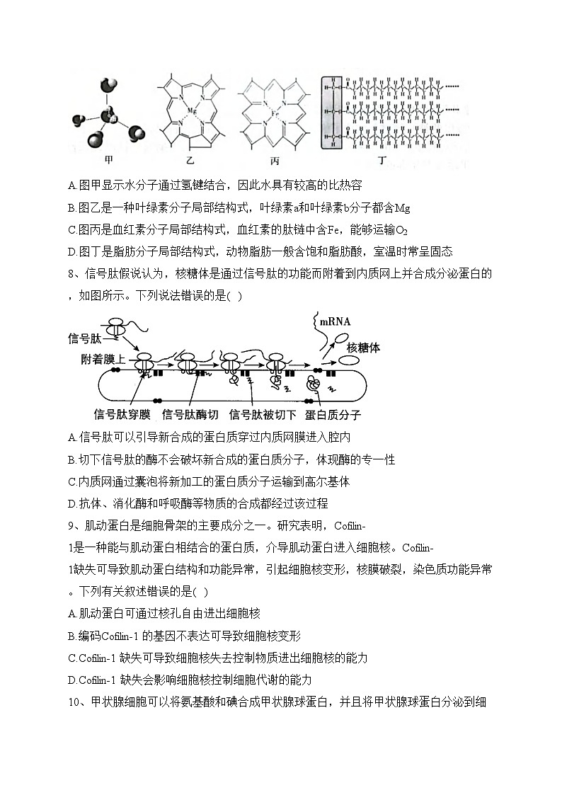 重庆市永川北山中学校2023届高三上学期半期（期中）质量监测生物试卷(含答案)第3页