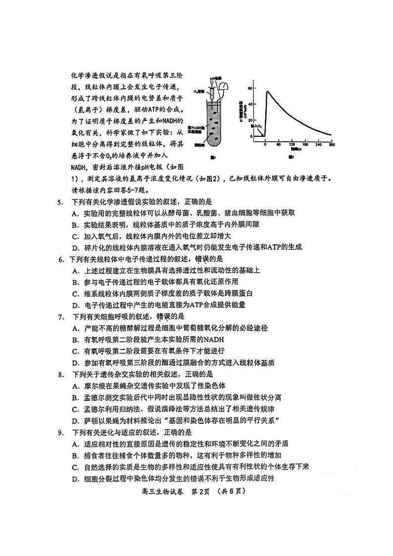 2024常州高三上学期期中学业水平监测生物PDF版含答案02