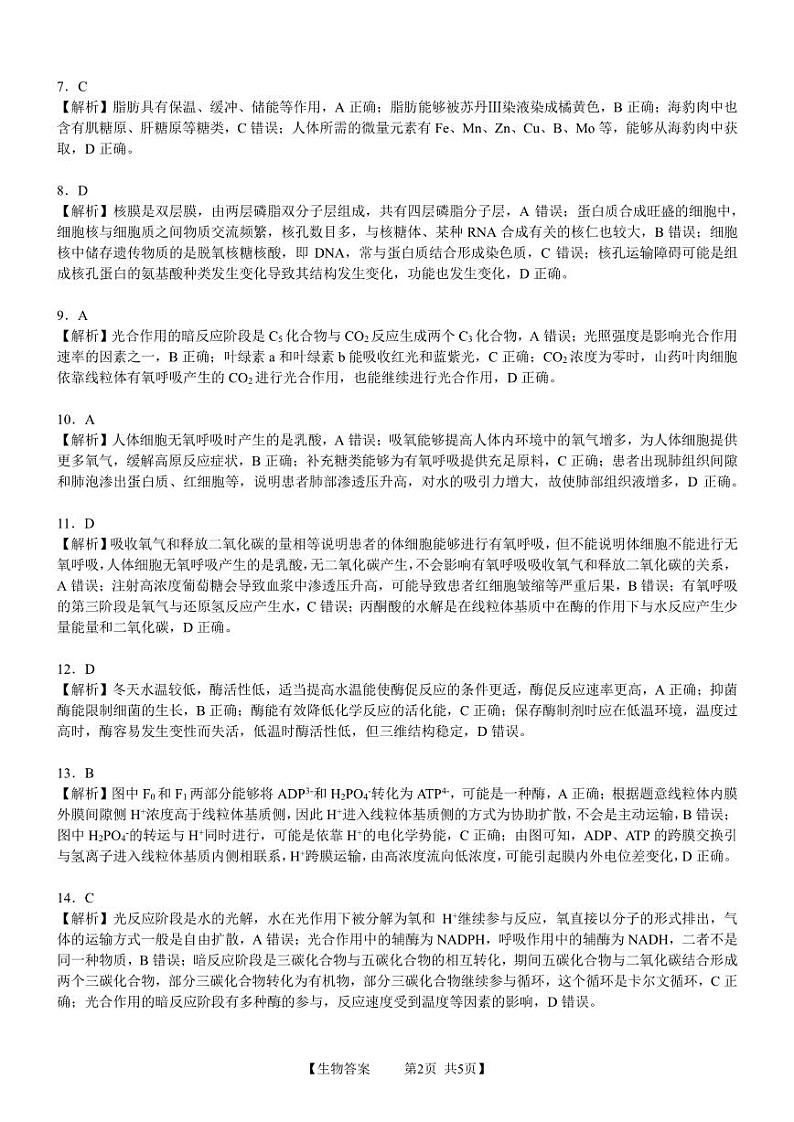 安徽省徽师联盟2024届高三上学期11月质量检测卷生物答案第2页