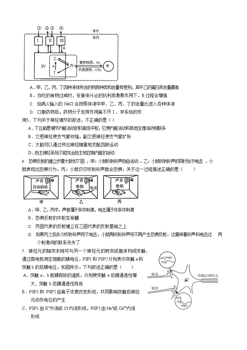 2024成都外国语学校高二上学期期中考试生物含答案02