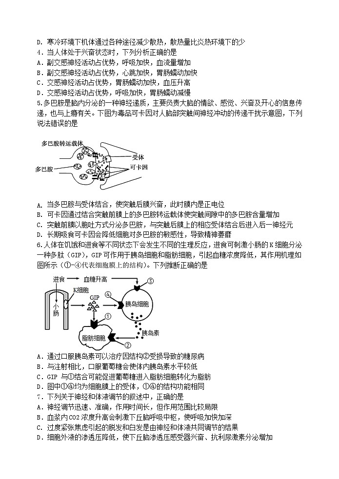 2024无锡江阴四校高二上学期期中联考试题生物含答案02
