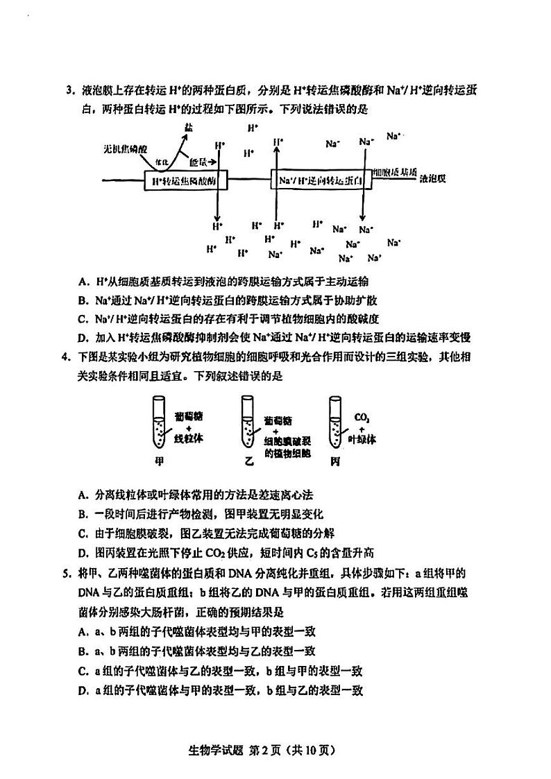 2024届长春高三一模生物试卷含答案解析02