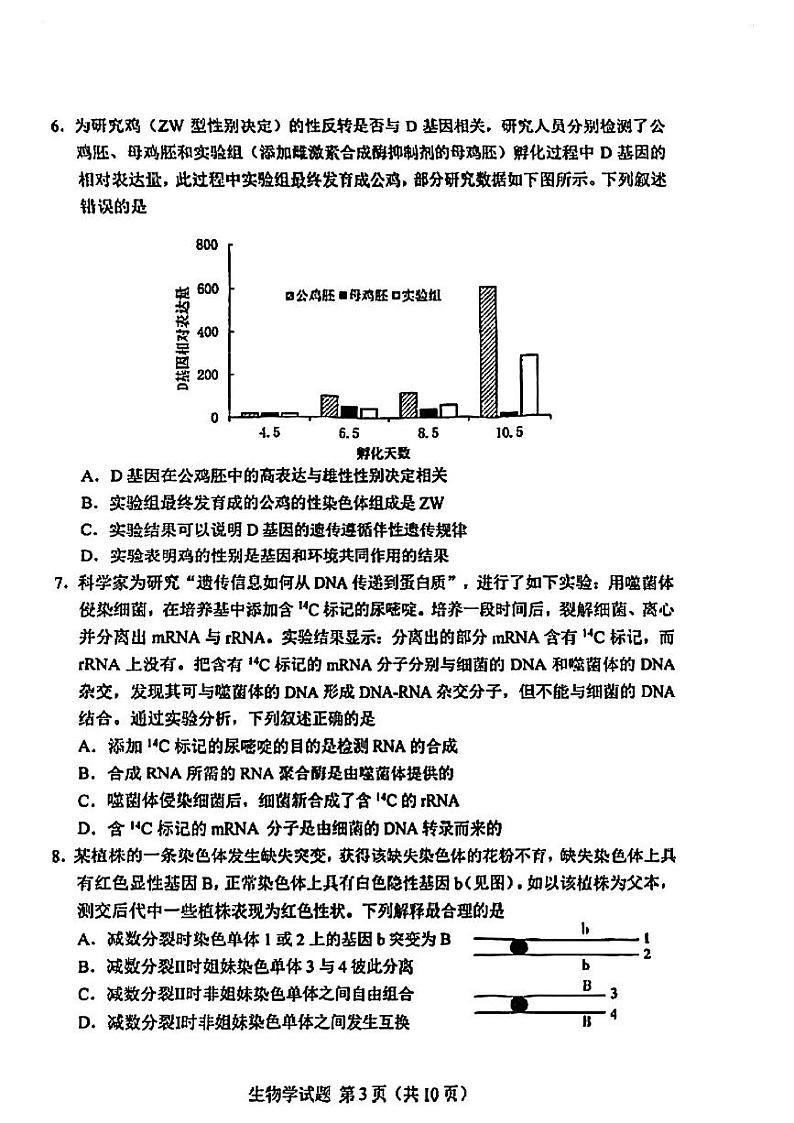 2024届长春高三一模生物试卷含答案解析03