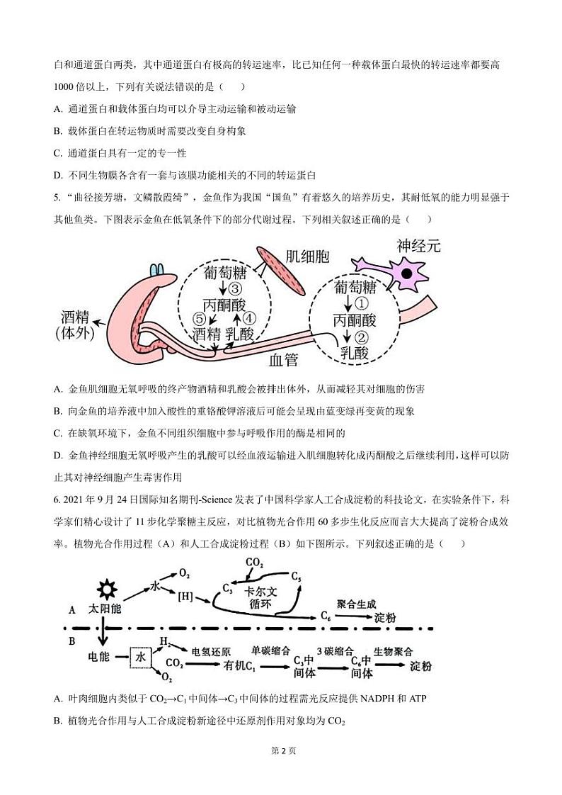 2022-2023学年安徽省合肥168中等江淮十校高三上学期第一次联考生物试卷（PDF版）02