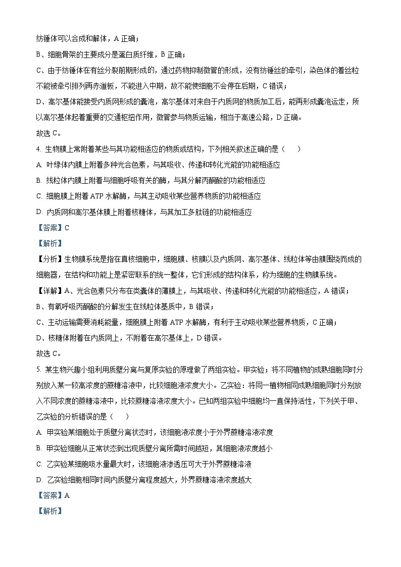 安徽省亳州市蒙城县五校2023-2024学年高三生物上学期11月期中联考试题（Word版附解析）03