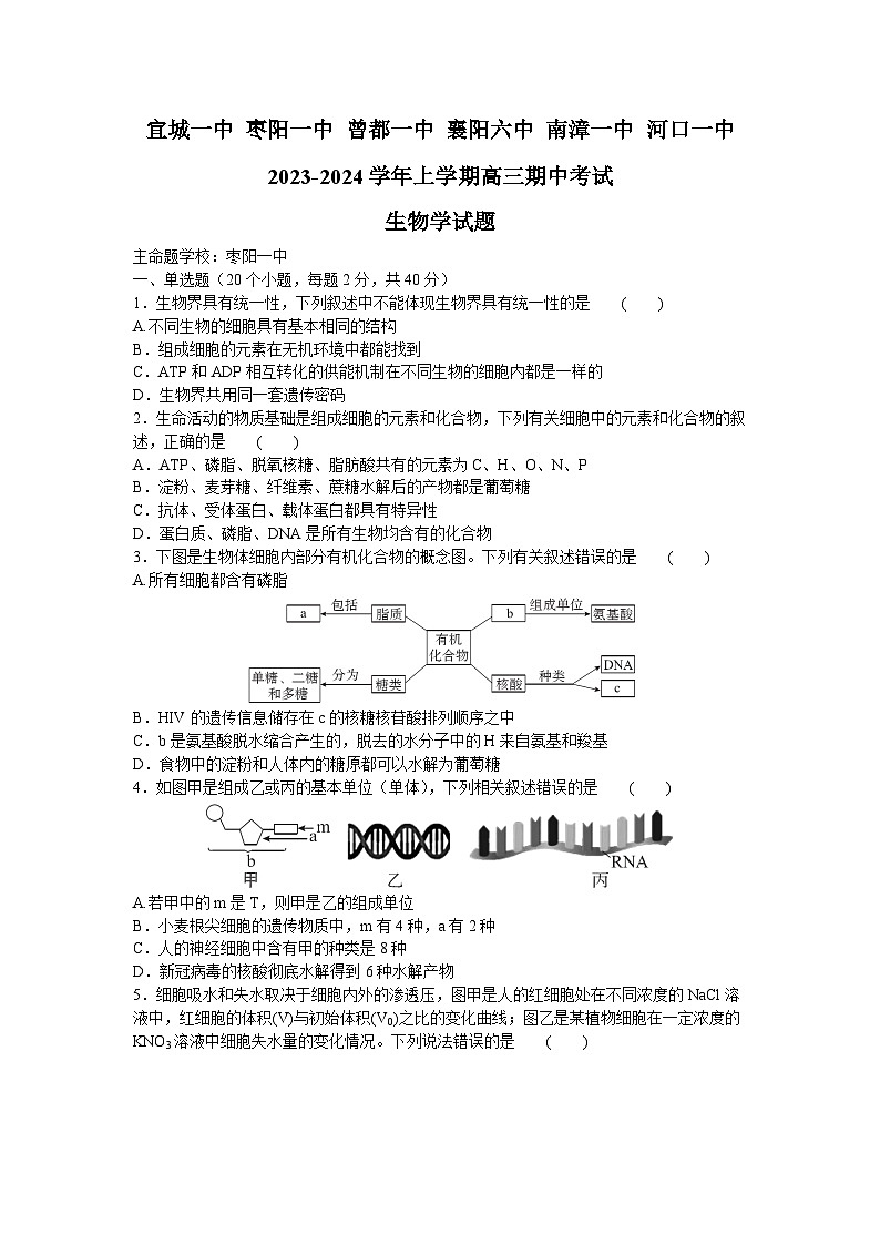 湖北省宜城市第一中学等六校2023-2024学年高三生物上学期期中联考试题（Word版附答案）01