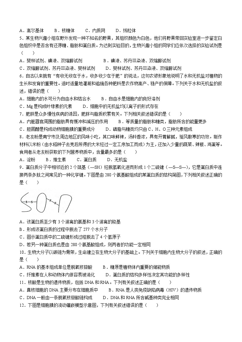 广西玉林市2023-2024学年高一生物上学期期中试题（Word版附答案）02