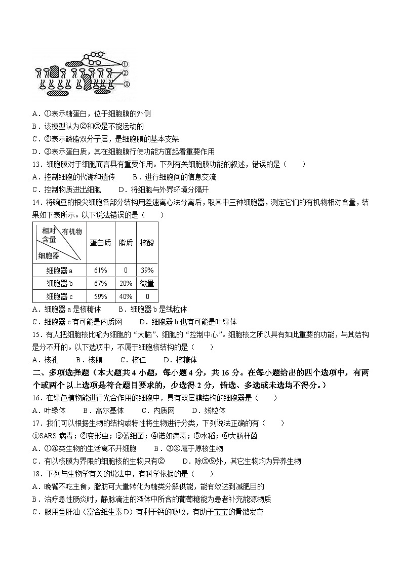 广西玉林市2023-2024学年高一生物上学期期中试题（Word版附答案）03