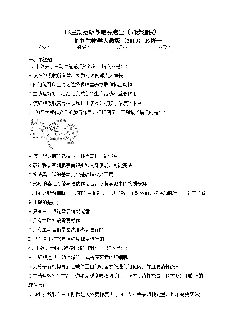4.2主动运输与胞吞胞吐（同步测试）——高中生物学人教版（2019）必修一(含答案)01