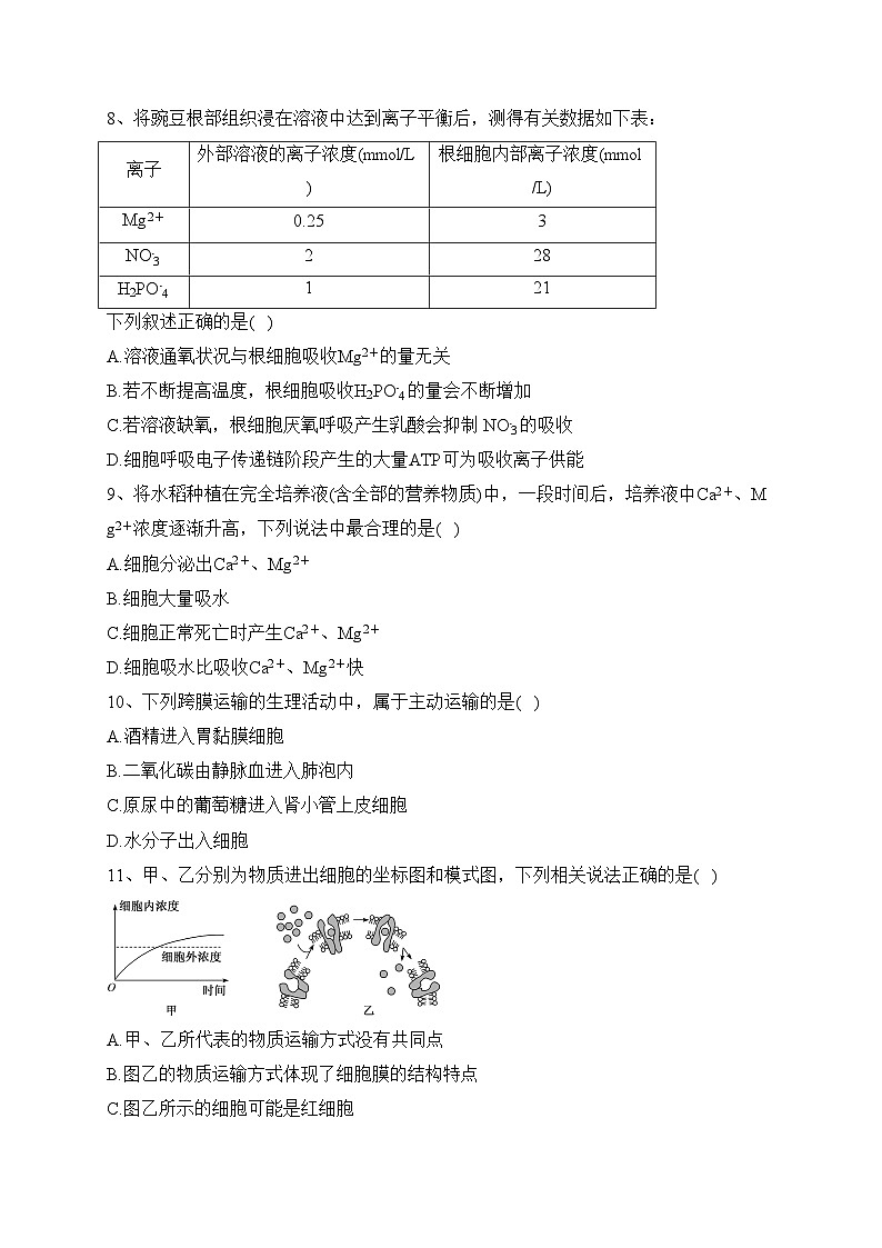 4.2主动运输与胞吞胞吐（同步测试）——高中生物学人教版（2019）必修一(含答案)03