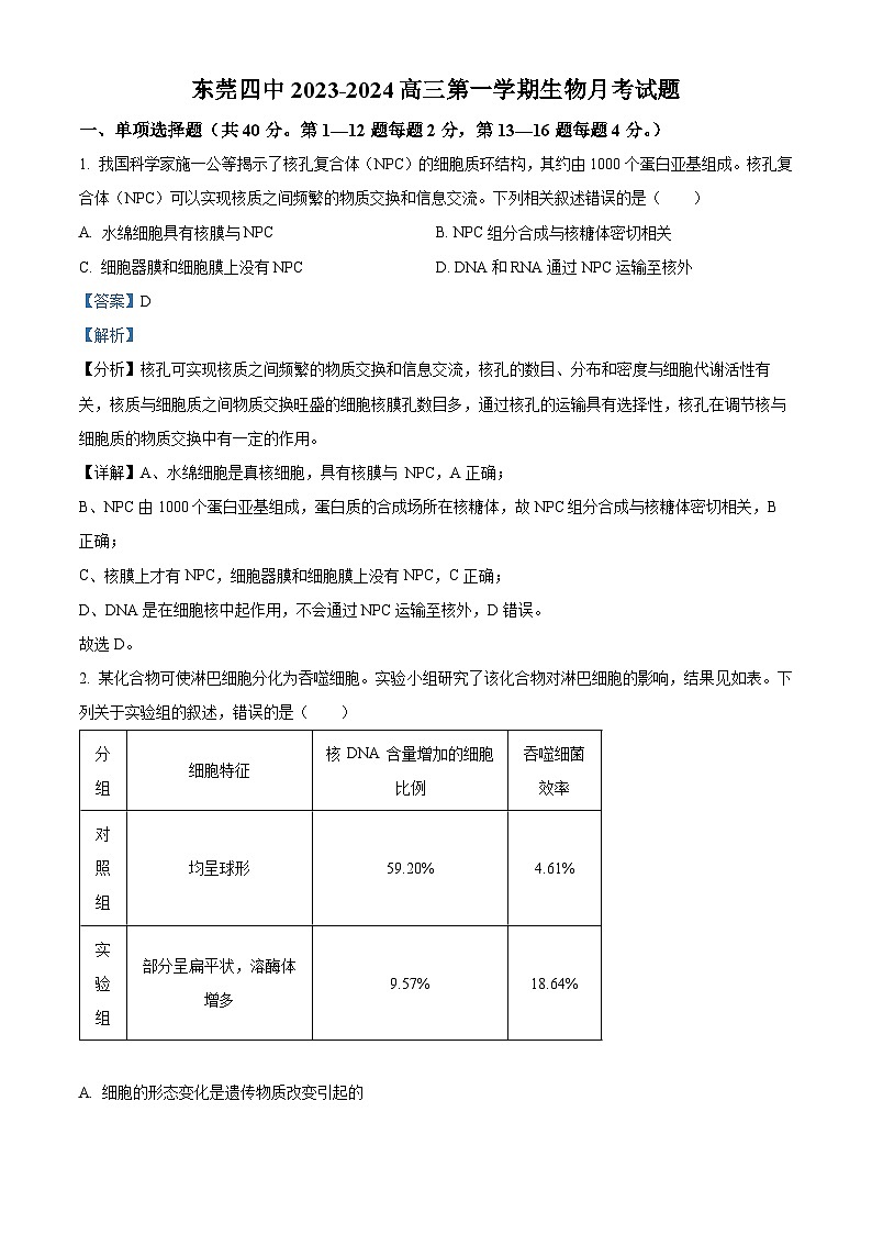 广东省东莞市第四中学2023-2024学年高三生物上学期10月月考试题（Word版附解析）第1页