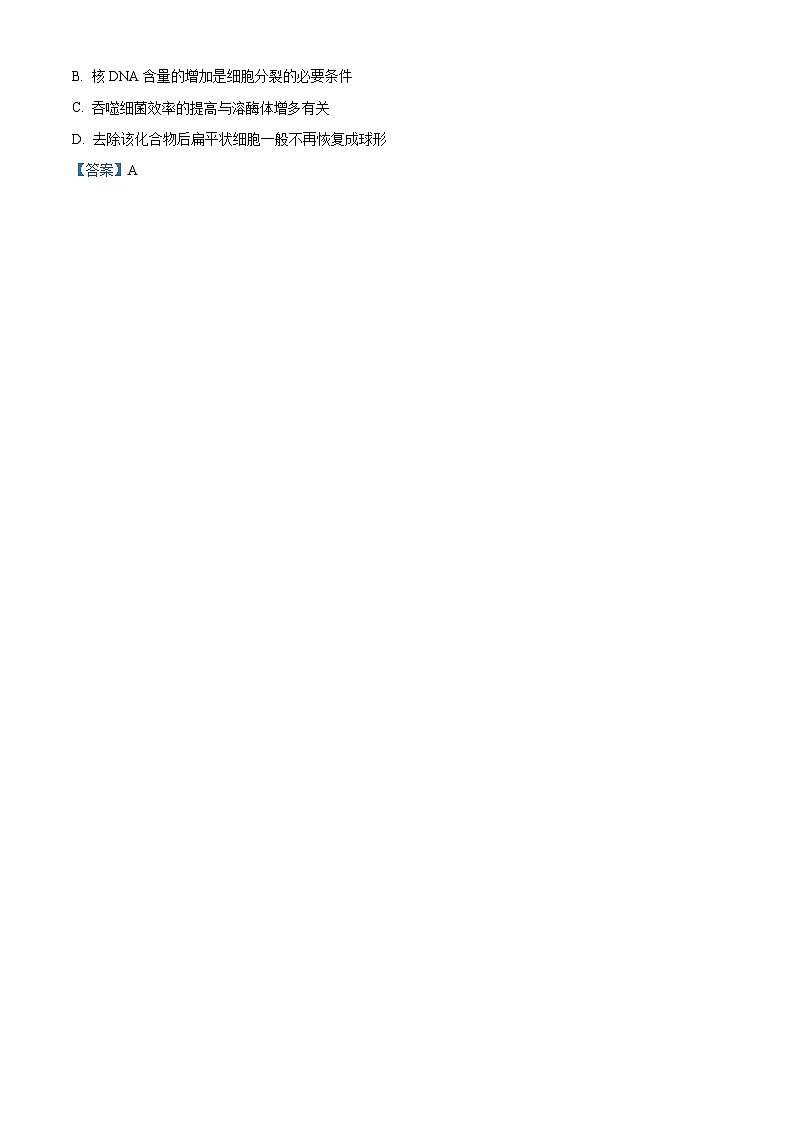 广东省东莞市第四中学2023-2024学年高三生物上学期10月月考试题（Word版附解析）第2页