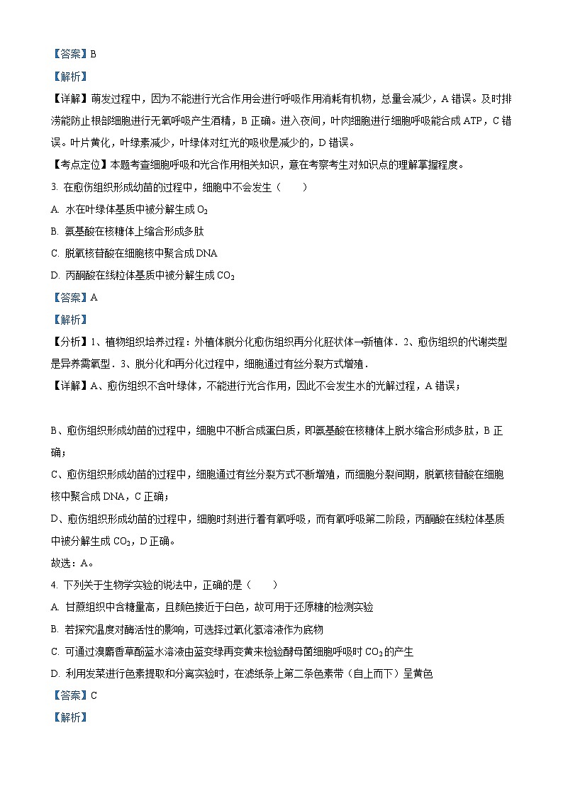 安徽省安庆市一中2023-2024学年高一上学期10月月考生物试题（Word版附解析）02