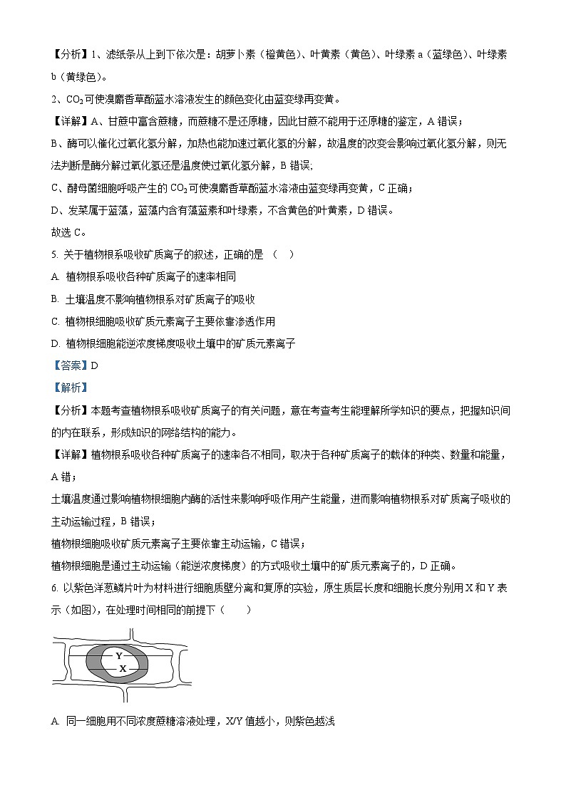 安徽省安庆市一中2023-2024学年高一上学期10月月考生物试题（Word版附解析）03
