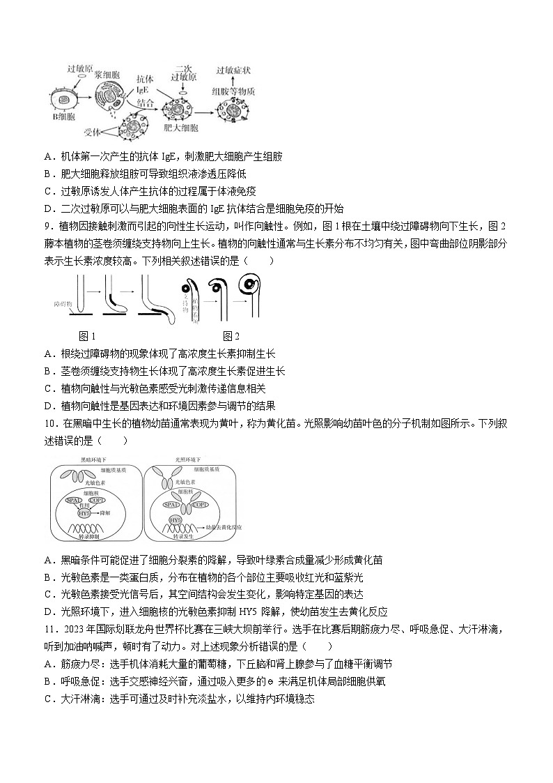 福建省龙岩市一级校联盟2023-2024学年高二上学期期中考试生物（Word版附答案）03