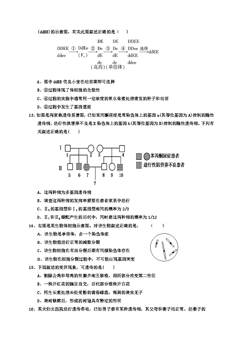 襄阳四校联考高二下学期生物期中试题及答案03
