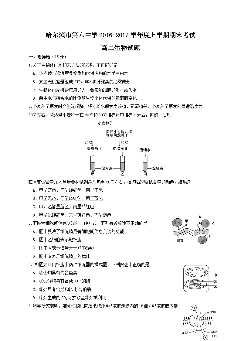 哈六中高二上学期生物期末试题及答案第1页