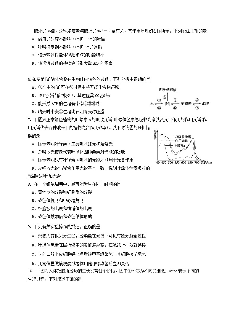 哈六中高二上学期生物期末试题及答案第2页