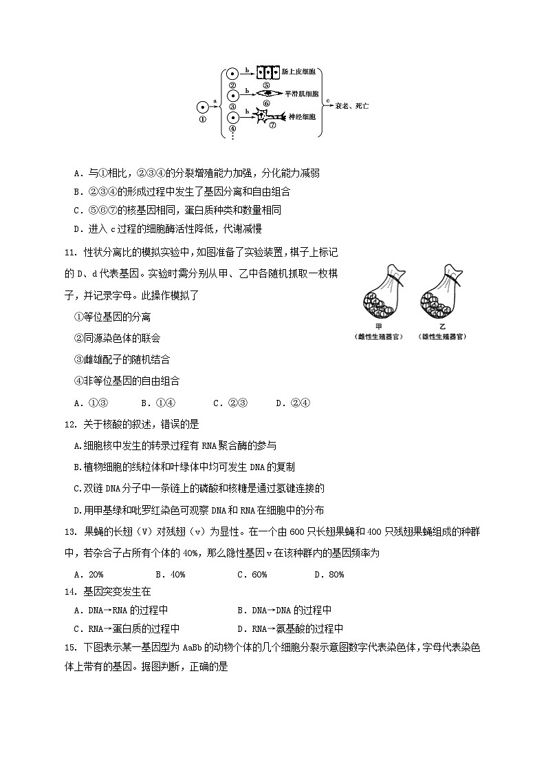 哈六中高二上学期生物期末试题及答案第3页