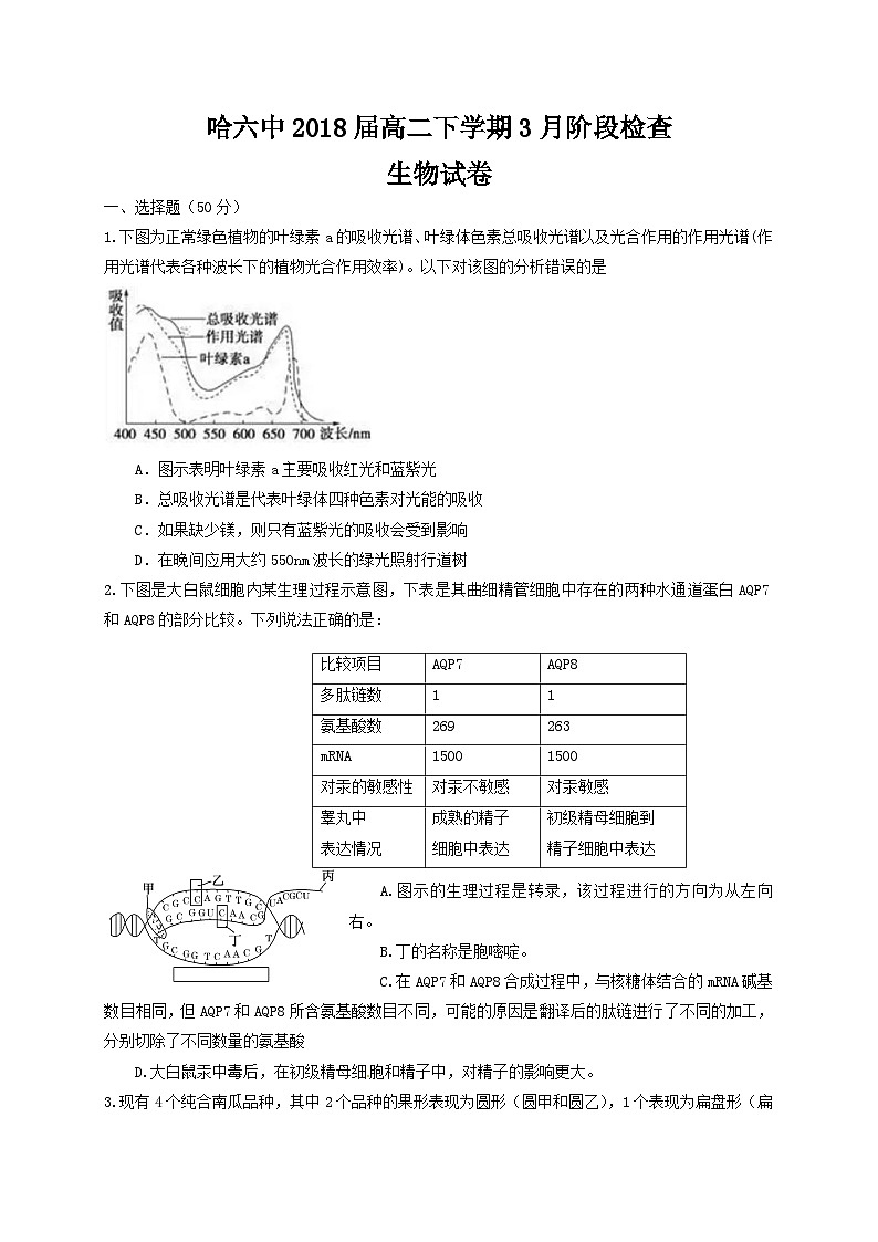 哈六中高二3月月考生物试题（无答案）第1页