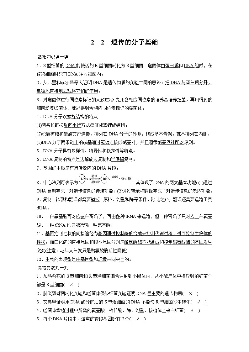 高考核心知识过关练习2－2　遗传的分子基础01
