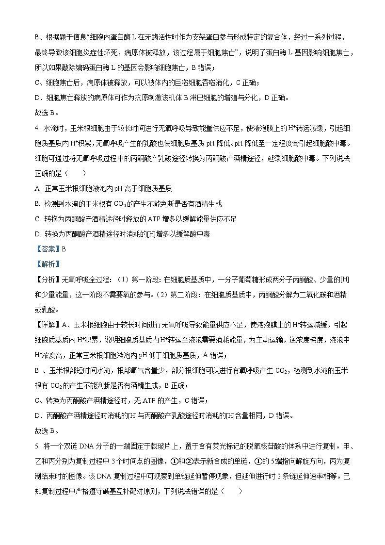 2023年新教材山东高考真题生物试卷（解析版）03
