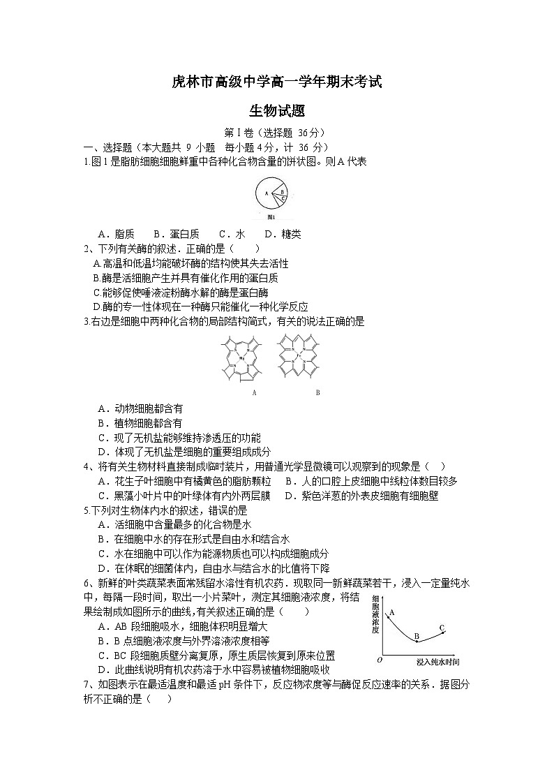 虎林一中高一生物期末试卷及答案第1页