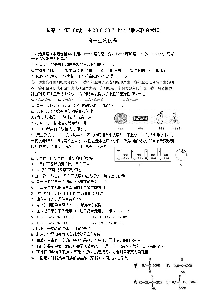 白城一中长春十一高上学期高一生物期末试卷及答案01