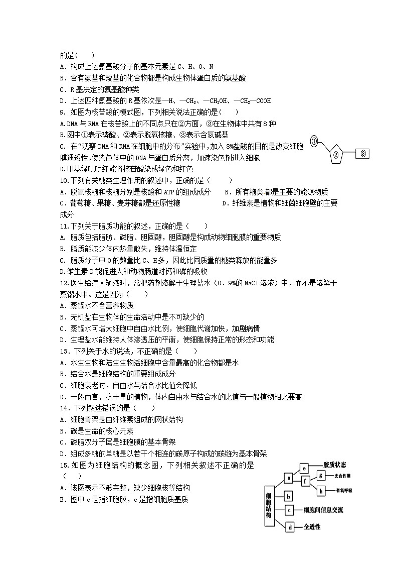 白城一中长春十一高上学期高一生物期末试卷及答案02