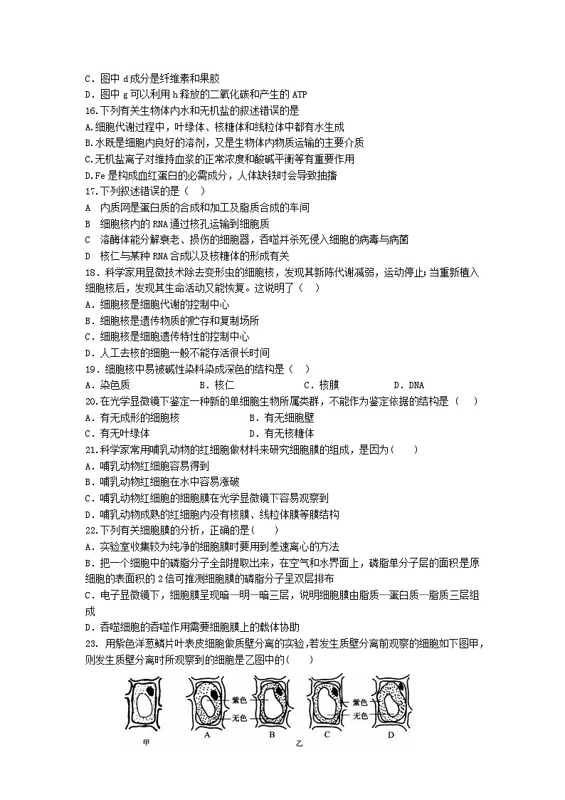 白城一中长春十一高上学期高一生物期末试卷及答案03