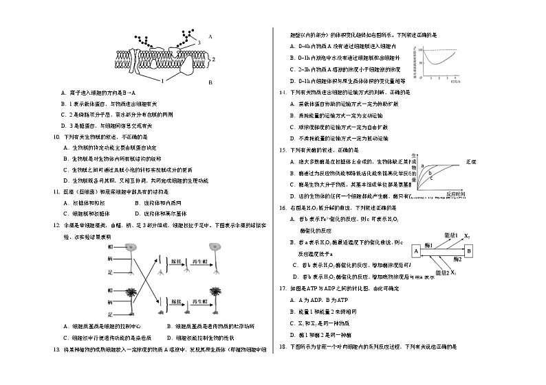 丰台区高一生物期末试卷02