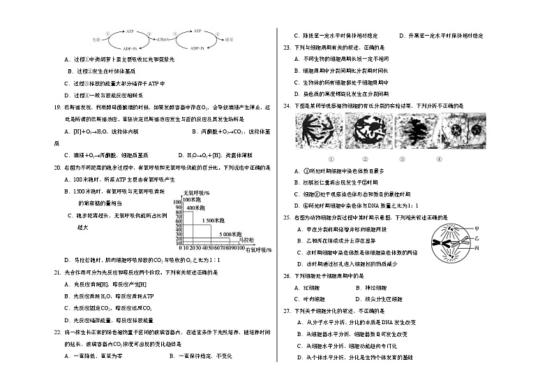 丰台区高一生物期末试卷03