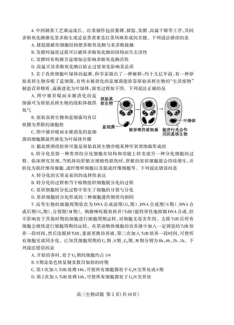 山东省泰安市2023-2024学年高三上学期期中考试生物试题02