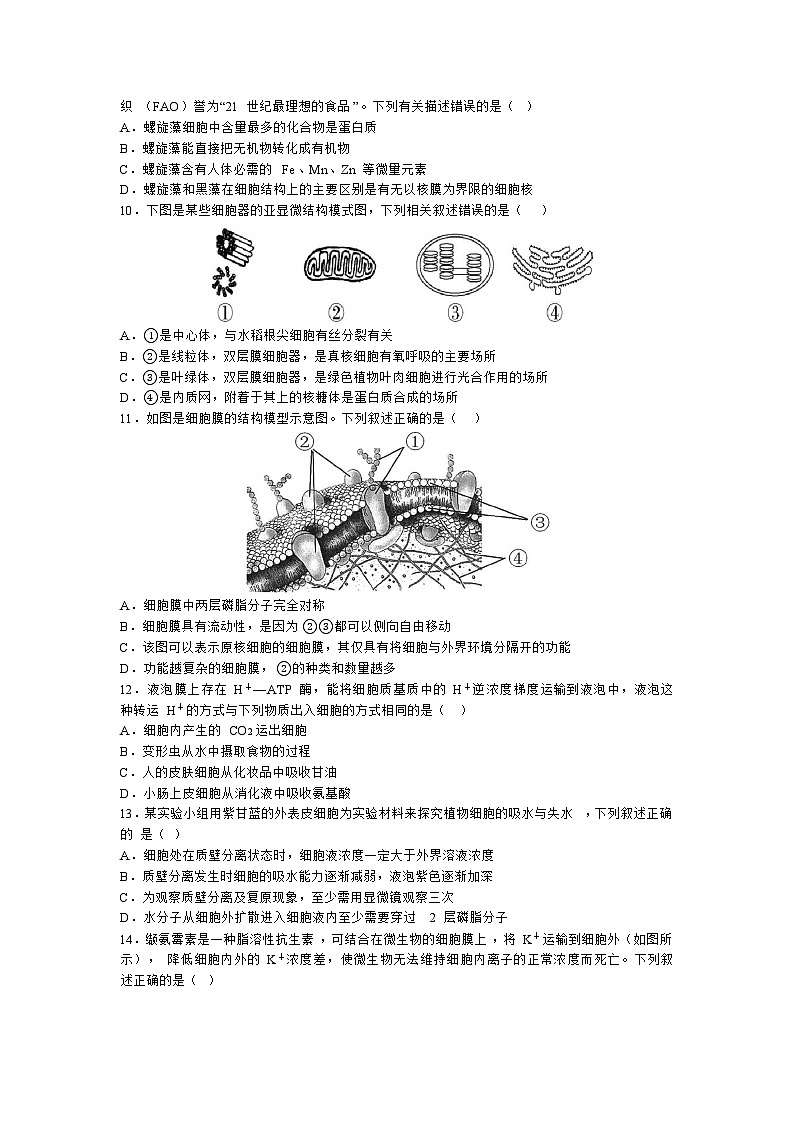 浙江省宁波市五校联盟2023-2024学年高一上学期期中联考生物试题（Word版附答案）02