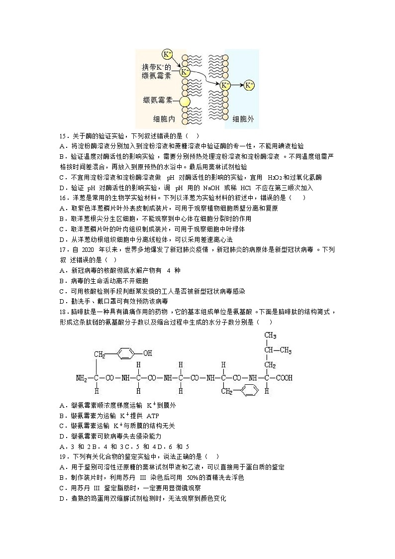 浙江省宁波市五校联盟2023-2024学年高一上学期期中联考生物试题（Word版附答案）03
