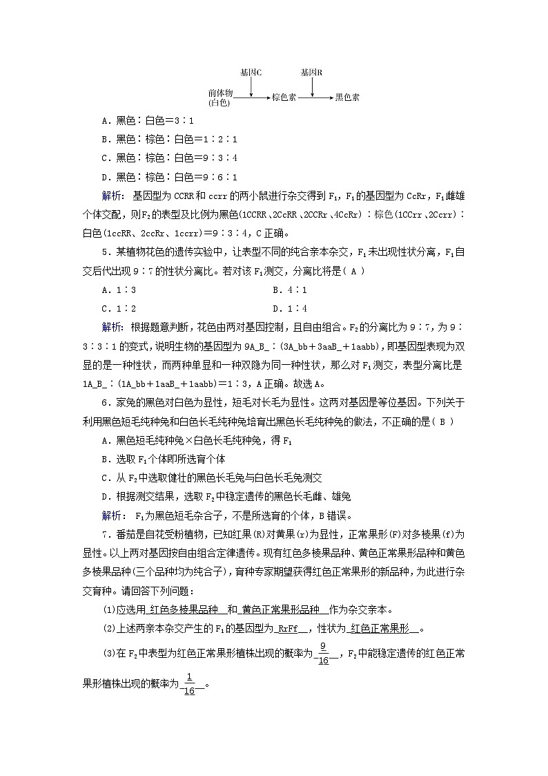 新教材适用2023_2024学年高中生物第1章遗传因子的发现第2节孟德尔的豌豆杂交实验二第2课时孟德尔实验方法的启示遗传规律的再发现和应用夯基提能作业新人教版必修2第2页