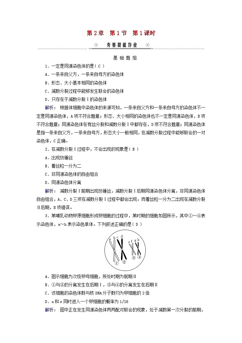 新教材适用2023_2024学年高中生物第2章基因和染色体的关系第1节减数分裂和受精作用第1课时精子的形成过程夯基提能作业新人教版必修2第1页