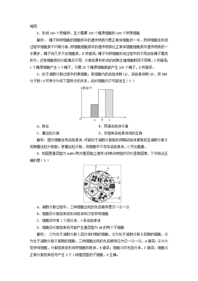 新教材适用2023_2024学年高中生物第2章基因和染色体的关系第1节减数分裂和受精作用第2课时卵细胞的形成过程减数分裂过程中染色体与核DNA等数目变化规律夯基提能作业新人教版必修2第2页