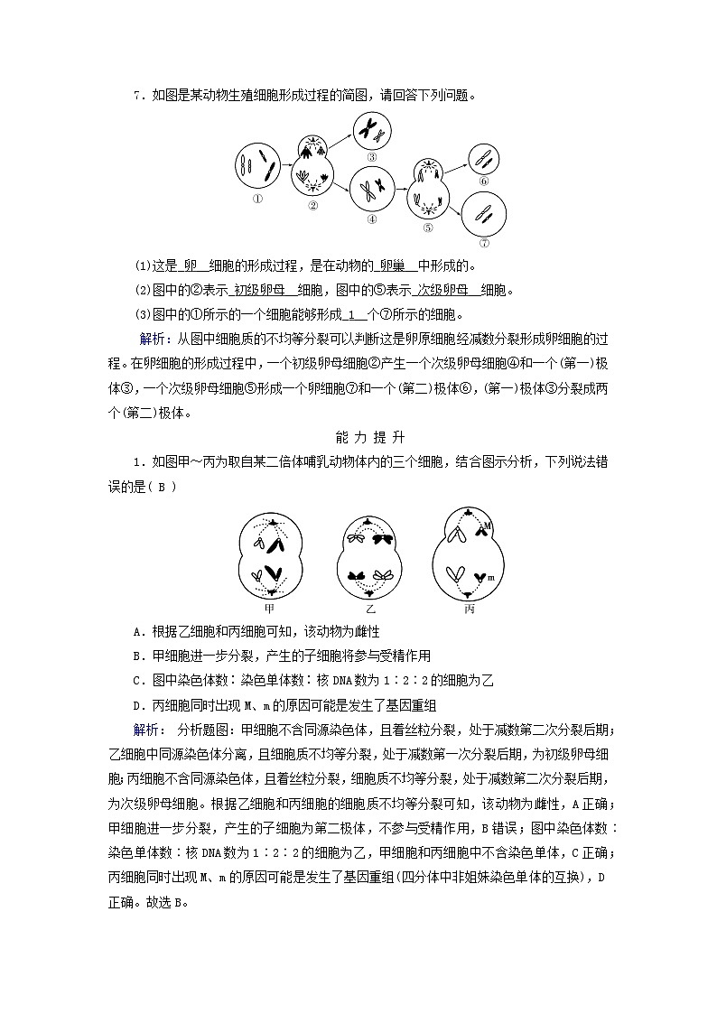 新教材适用2023_2024学年高中生物第2章基因和染色体的关系第1节减数分裂和受精作用第2课时卵细胞的形成过程减数分裂过程中染色体与核DNA等数目变化规律夯基提能作业新人教版必修2第3页
