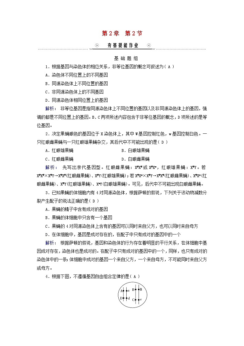新教材适用2023_2024学年高中生物第2章基因和染色体的关系第2节基因在染色体上夯基提能作业新人教版必修2第1页