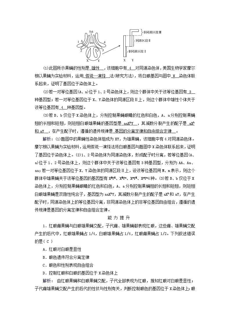 新教材适用2023_2024学年高中生物第2章基因和染色体的关系第2节基因在染色体上夯基提能作业新人教版必修2第3页