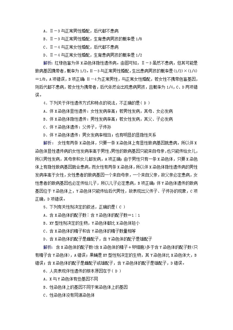 新教材适用2023_2024学年高中生物第2章基因和染色体的关系第3节伴性遗传夯基提能作业新人教版必修2第2页