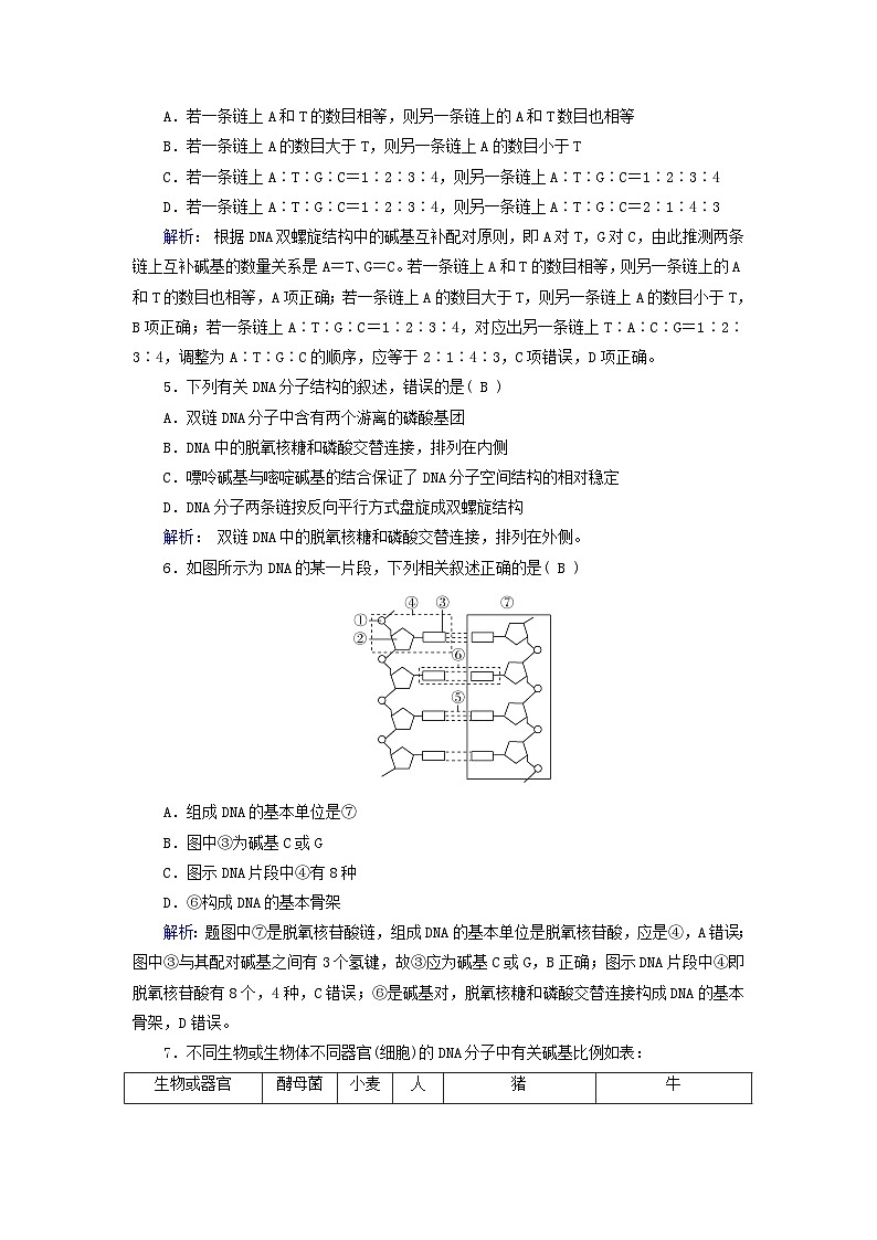 新教材适用2023_2024学年高中生物第3章基因的本质第2节DNA的结构夯基提能作业新人教版必修202