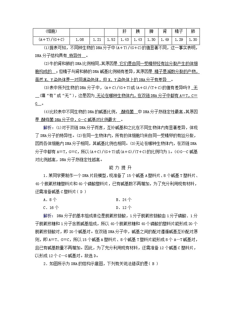 新教材适用2023_2024学年高中生物第3章基因的本质第2节DNA的结构夯基提能作业新人教版必修203