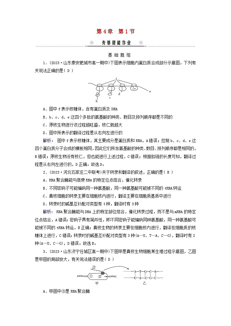 新教材适用2023_2024学年高中生物第4章基因的表达第1节基因指导蛋白质的合成夯基提能作业新人教版必修201