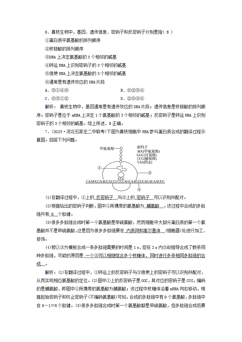 新教材适用2023_2024学年高中生物第4章基因的表达第1节基因指导蛋白质的合成夯基提能作业新人教版必修203