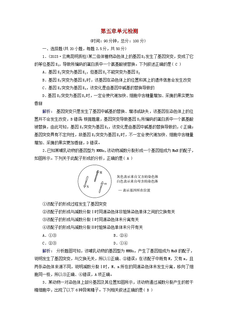 新教材适用2023_2024学年高中生物第5章基因突变及其他变异单元检测新人教版必修201