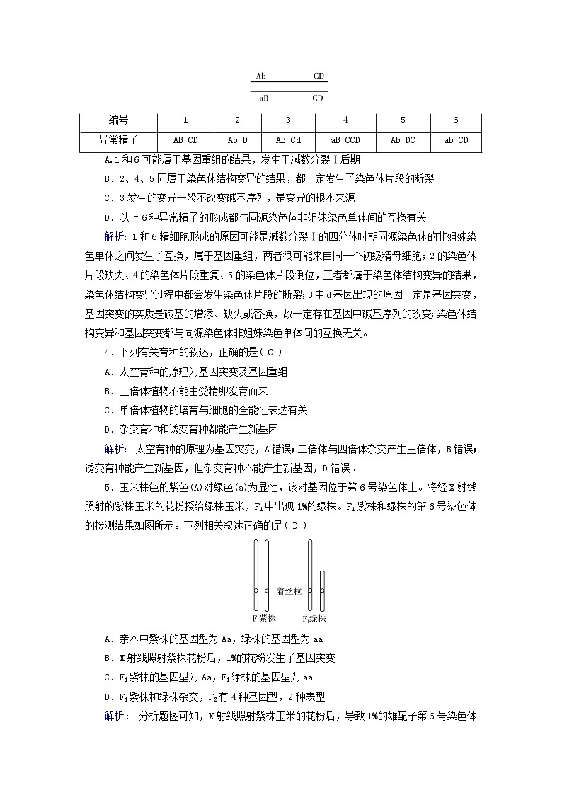 新教材适用2023_2024学年高中生物第5章基因突变及其他变异单元检测新人教版必修202